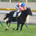 ダノンキングリー