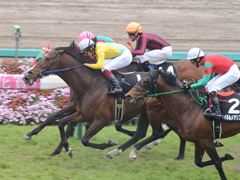 大阪－ハンブルクカップ（ＯＰ）