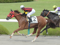 阪神6R　500万下（牝）