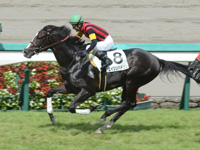 阪神7R　500万下