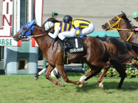 阪神10R　仲秋ステークス（1600万）