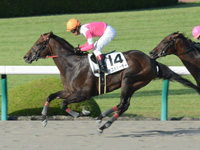 阪神12R　1000万下