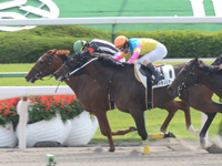 京都3R　500万下（牝）