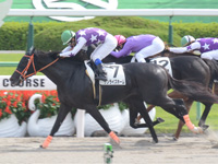 京都6R　500万下