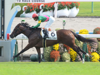 京都7R　500万下