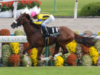 京都10R　清滝特別（1000万）