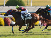 京都8R　500万下