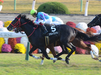 京都9R　嵯峨野特別（1000万）