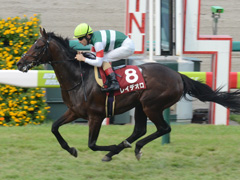 第65回 神戸新聞杯（ＧII）