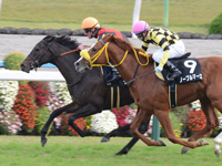 京都10R　比叡ステークス（1600万）