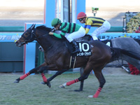 阪神9R　猪名川特別（1000万）