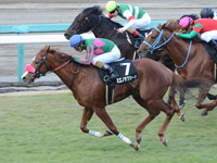 阪神10R　元町ステークス（1600万）