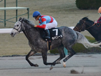 阪神12R　妙見山特別（1000万）