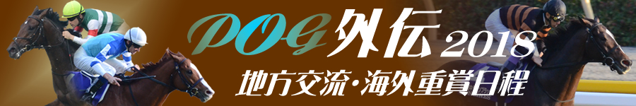 POG外伝　2018年地方・海外重賞