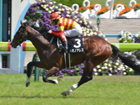 京都9R　鴨川特別（1000万）