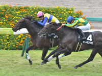 阪神10R　西宮ステークス（1600万）