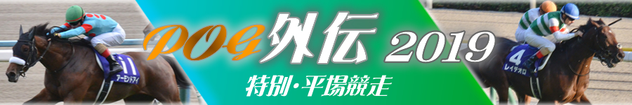 POG外伝2019　平場・特別競走