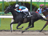 京都12R　高瀬川ステークス（1600万）