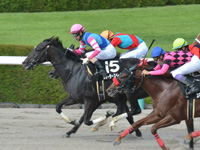 阪神10R　新涼特別（2勝クラス）