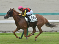 阪神7R　1勝クラス