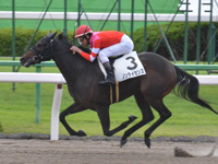 京都4R　1勝クラス（牝）