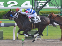 京都6R　1勝クラス