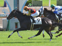 京都7R　1勝クラス