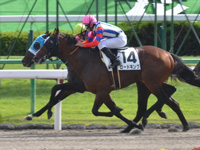 京都6R　1勝クラス