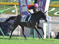 東京7R　1勝クラス