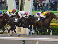 東京12R　西湖特別（2勝クラス）