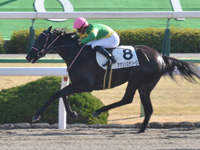 京都7R　1勝クラス