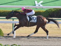 京都8R　1勝クラス