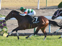 京都10R　逢坂山特別（2勝クラス）