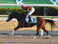 京都12R　1勝クラス