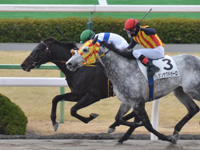 京都8R　2勝クラス