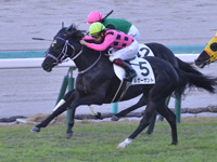 阪神12R　2勝クラス